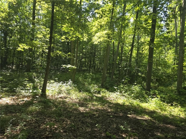 Whitcomb Rd, Bath, NY 14879 - photo 12
