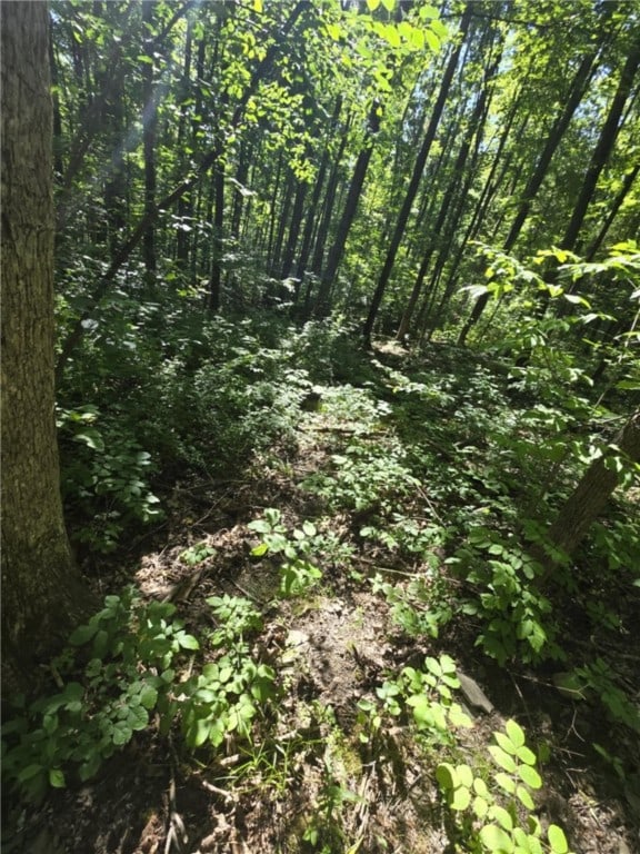 Whitcomb Rd, Bath, NY 14879 - photo 14