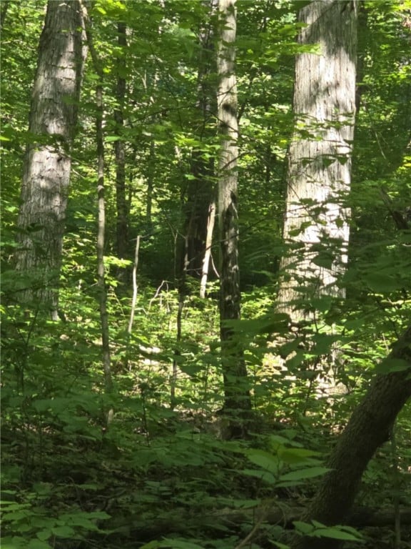 Whitcomb Rd, Bath, NY 14879 - photo 16