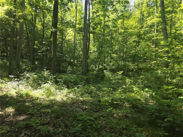 Whitcomb Rd, Bath, NY 14879 - photo 17