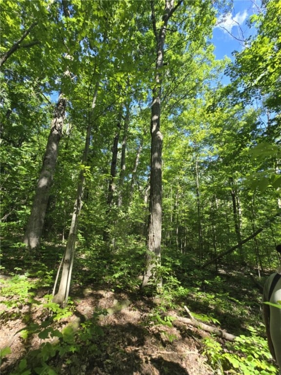 Whitcomb Rd, Bath, NY 14879 - photo 18