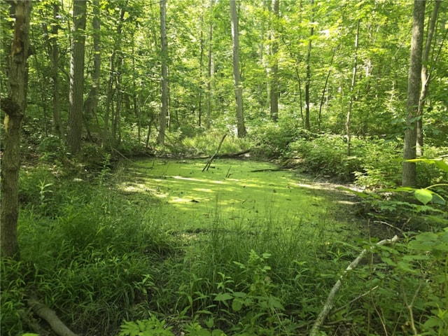 Whitcomb Rd, Bath, NY 14879 - photo 19