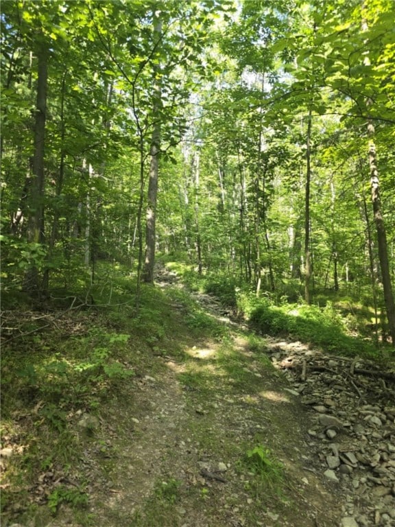 Whitcomb Rd, Bath, NY 14879 - photo 20