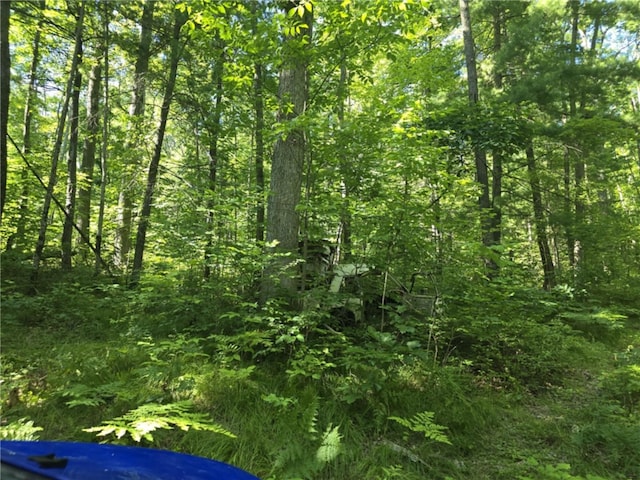 Whitcomb Rd, Bath, NY 14879 - photo 21
