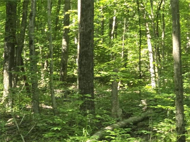 Whitcomb Rd, Bath, NY 14879 - photo 23