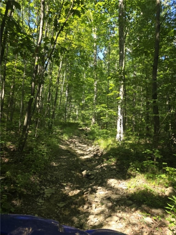 Whitcomb Rd, Bath, NY 14879 - photo 25