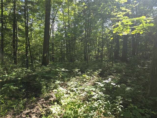 Whitcomb Rd, Bath, NY 14879 - photo 26