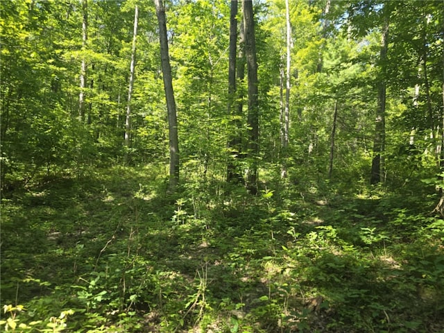 Whitcomb Rd, Bath, NY 14879 - photo 34