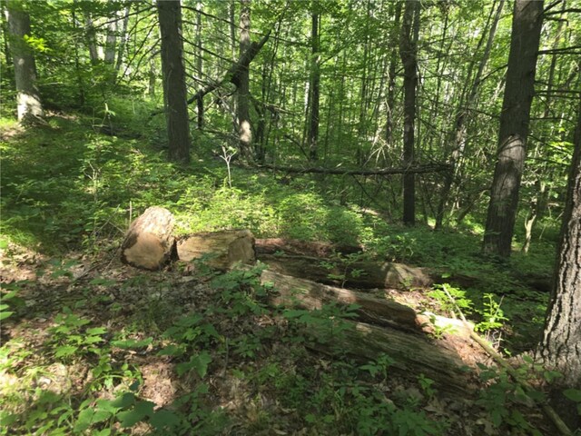Whitcomb Rd, Bath, NY 14879 - photo 35