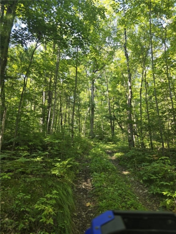 Whitcomb Rd, Bath, NY 14879 - photo 36