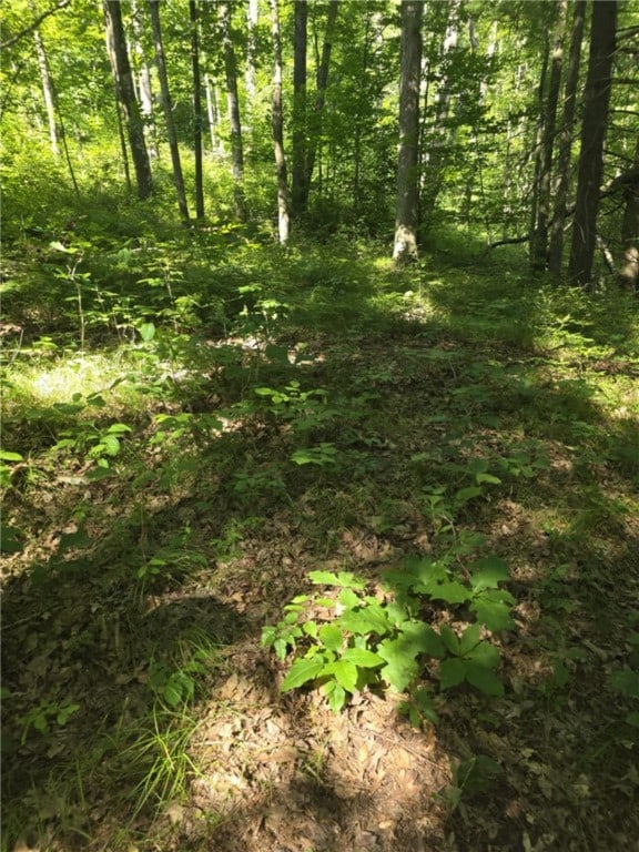 Whitcomb Rd, Bath, NY 14879 - photo 37
