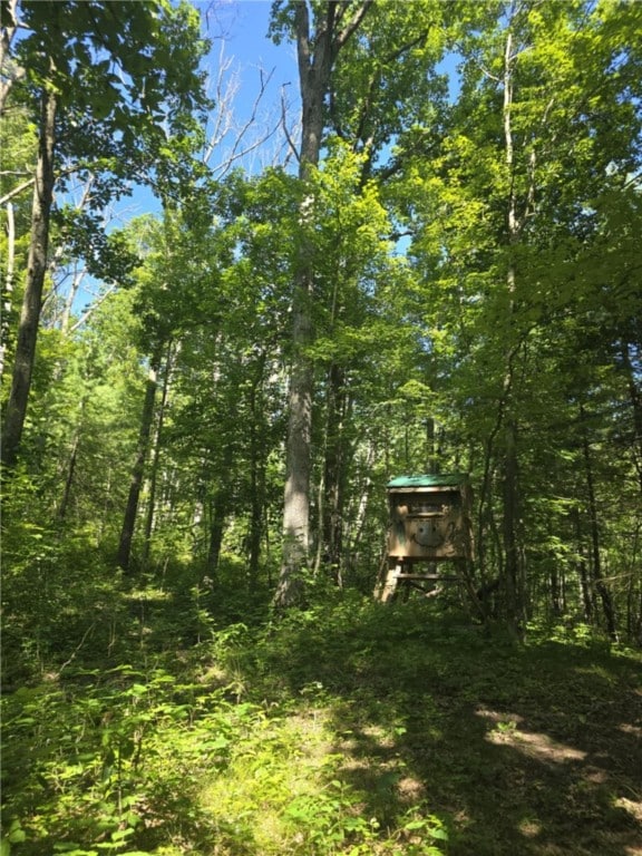 Whitcomb Rd, Bath, NY 14879 - photo 47