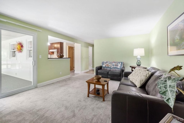 101 Wiesner Ln, Dewitt, NY 13214 - photo 14