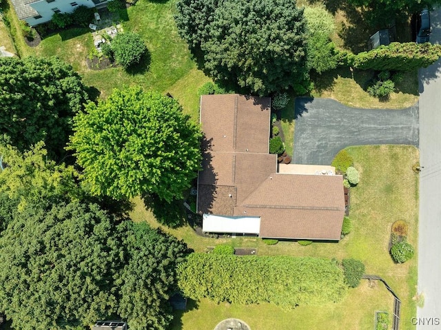 101 Wiesner Ln, Dewitt, NY 13214 - photo 41