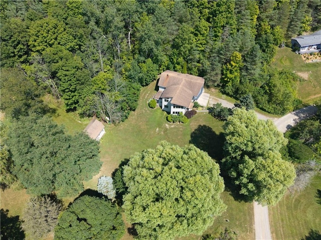 1263 Phelps Dr, Fremont, NY 14807 - photo 45
