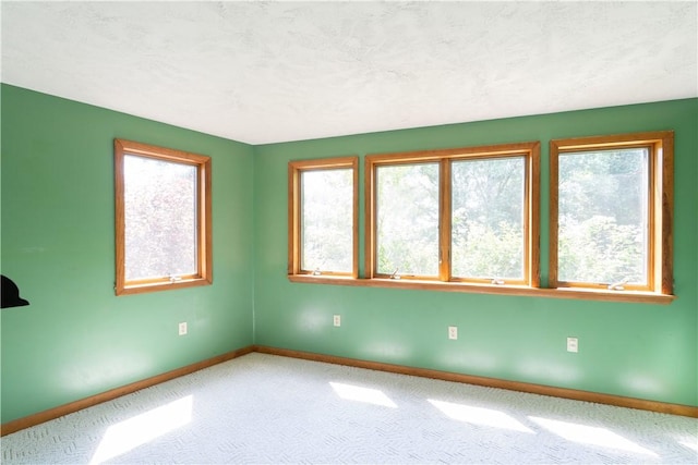 1263 Phelps Dr, Fremont, NY 14807 - photo 29