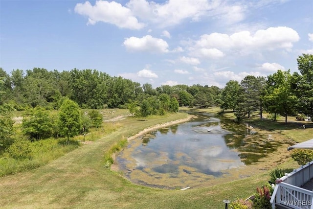 191 Bridle Path, Orchard Park, NY 14127 - photo 20
