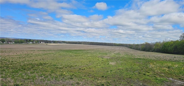 Rt-96A, Romulus, NY 14521 - photo 9