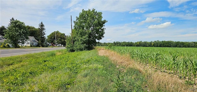 Rt-96A, Romulus, NY 14521 - photo 12