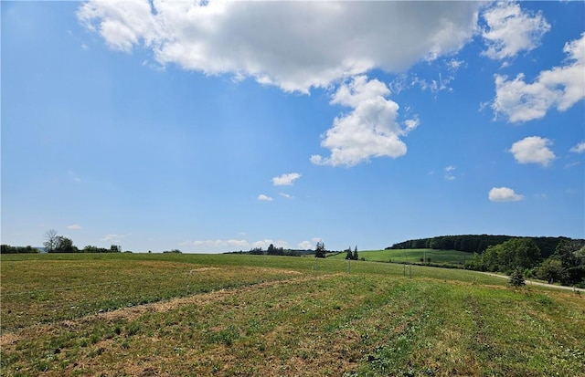 6404 Sherman Rd, Alfred, NY 14803 - photo 43