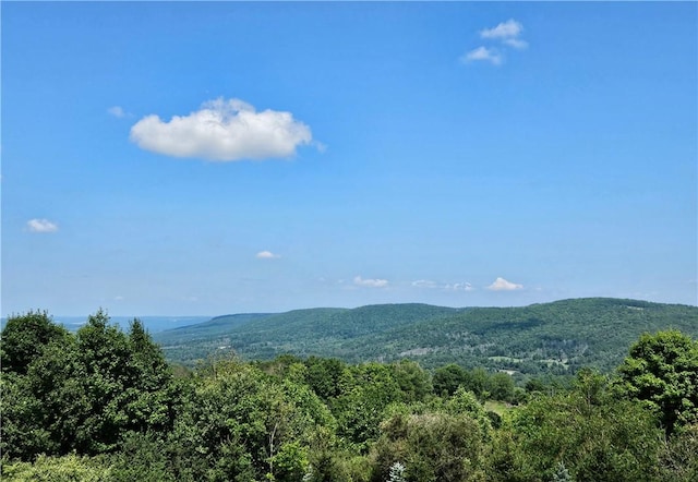 6404 Sherman Rd, Alfred, NY 14803 - photo 45