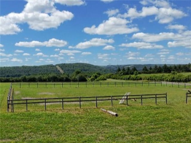 6404 Sherman Rd, Alfred, NY 14803 - photo 40