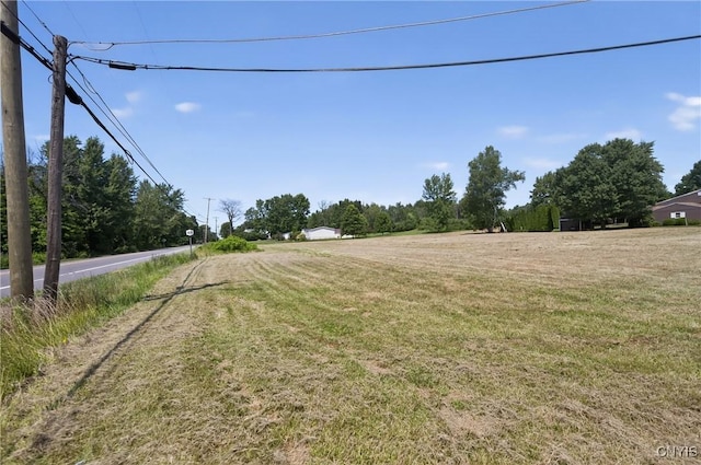 8780 Oswego Rd, Lysander, NY 13027 - photo 5