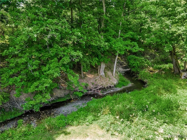 338 Union Rd, West Seneca, NY 14224 - photo 50