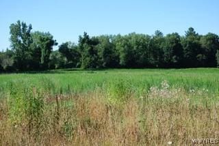 11154 Stage Rd, Newstead, NY 14001 - photo 1