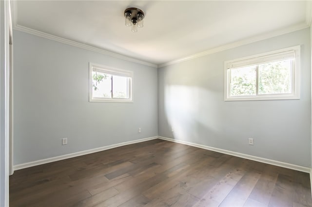 97 Stark St, Waterloo, NY 13165 - photo 21