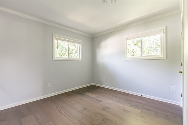 97 Stark St, Waterloo, NY 13165 - photo 22