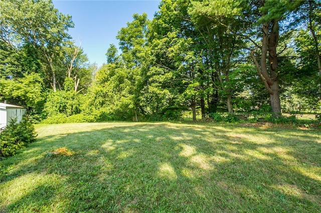 97 Stark St, Waterloo, NY 13165 - photo 27