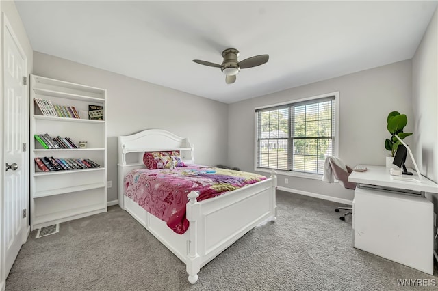 26 Hearthstone, Orchard Park, NY 14127 - photo 34