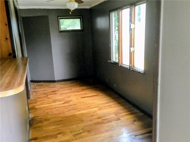 1079 Garson Ave, Rochester, NY 14609 - photo 3