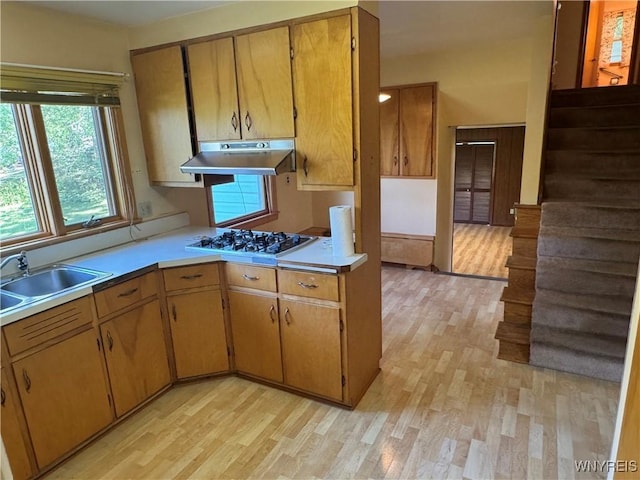 76 Leacliff Ln, West Seneca, NY 14224 - photo 13