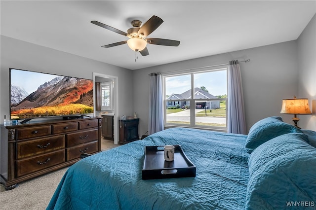 105 Country Club Ct, Grand Island, NY 14072 - photo 27