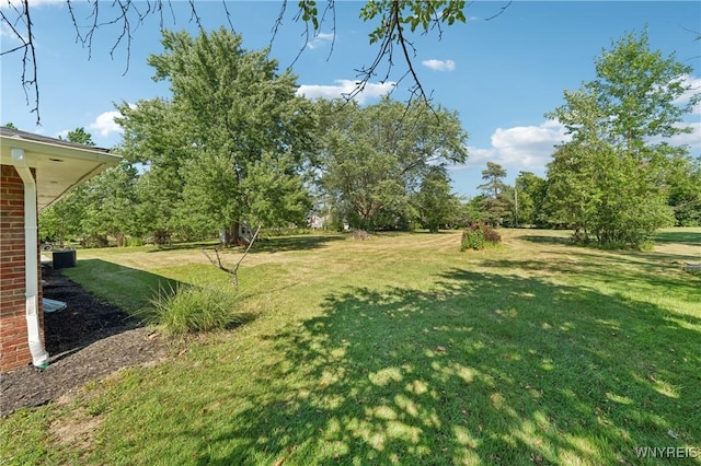 125 Hopkins Rd, Amherst, NY 14221 - photo 40