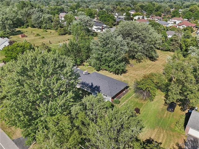 125 Hopkins Rd, Amherst, NY 14221 - photo 43