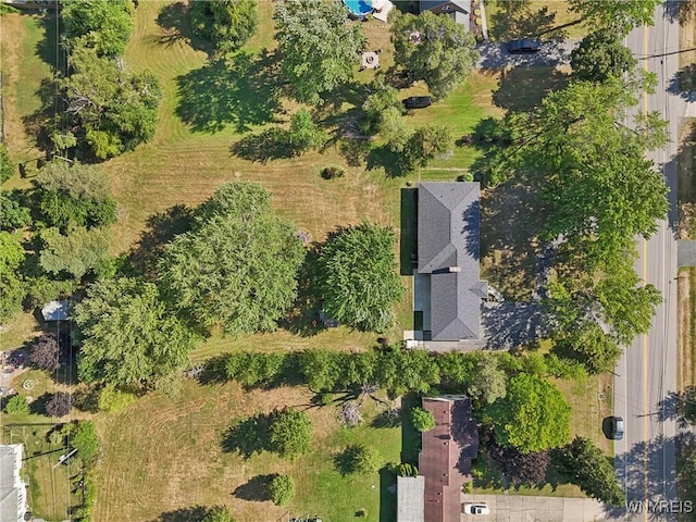 125 Hopkins Rd, Amherst, NY 14221 - photo 49