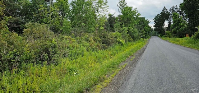 Michigan Hollow Rd, Danby, NY 14883 - photo 1