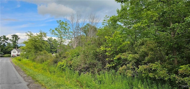 Michigan Hollow Rd, Danby, NY 14883 - photo 2