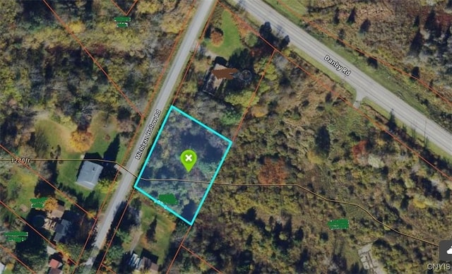 Michigan Hollow Rd, Danby, NY 14883 - photo 3