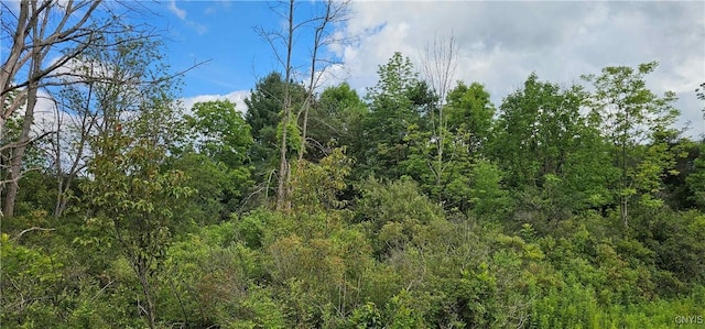 Michigan Hollow Rd, Danby, NY 14883 - photo 6
