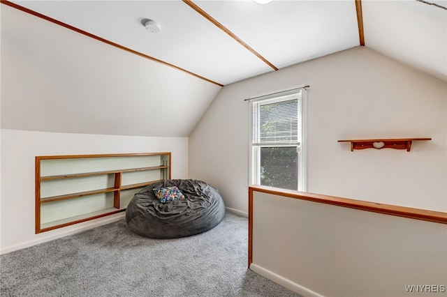 2451 Michigan Ave, Niagara Falls, NY 14305 - photo 24