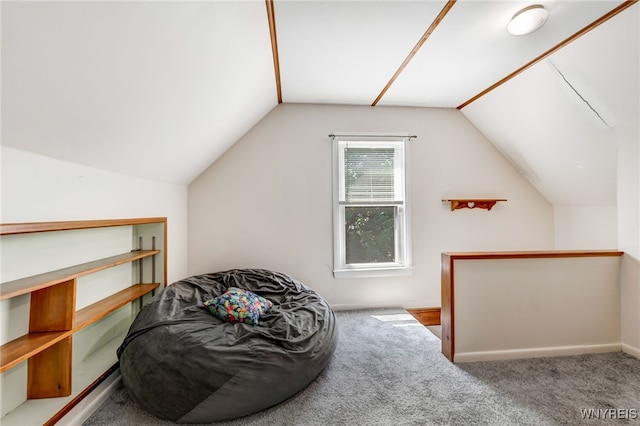 2451 Michigan Ave, Niagara Falls, NY 14305 - photo 26