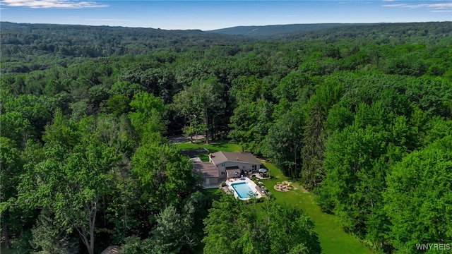 1955 Mill Rd, Aurora, NY 14170 - photo 38