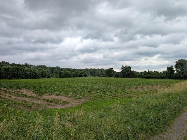 16499 Lynch Rd, Murray, NY 14470 - photo 5