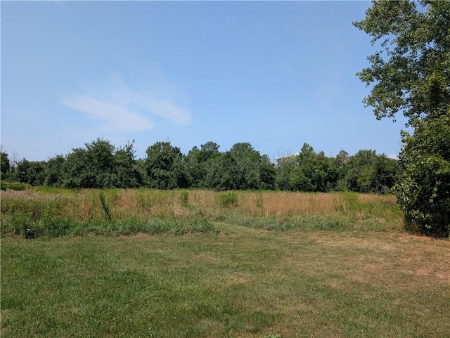 16499 Lynch Rd, Murray, NY 14470 - photo 6