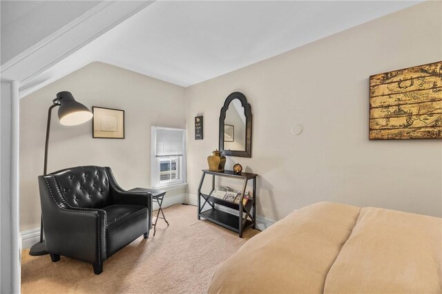114 Rutgers St, Rochester, NY 14607 - photo 41