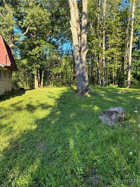 9497 Harrison St, Evans, NY 14006 - photo 25